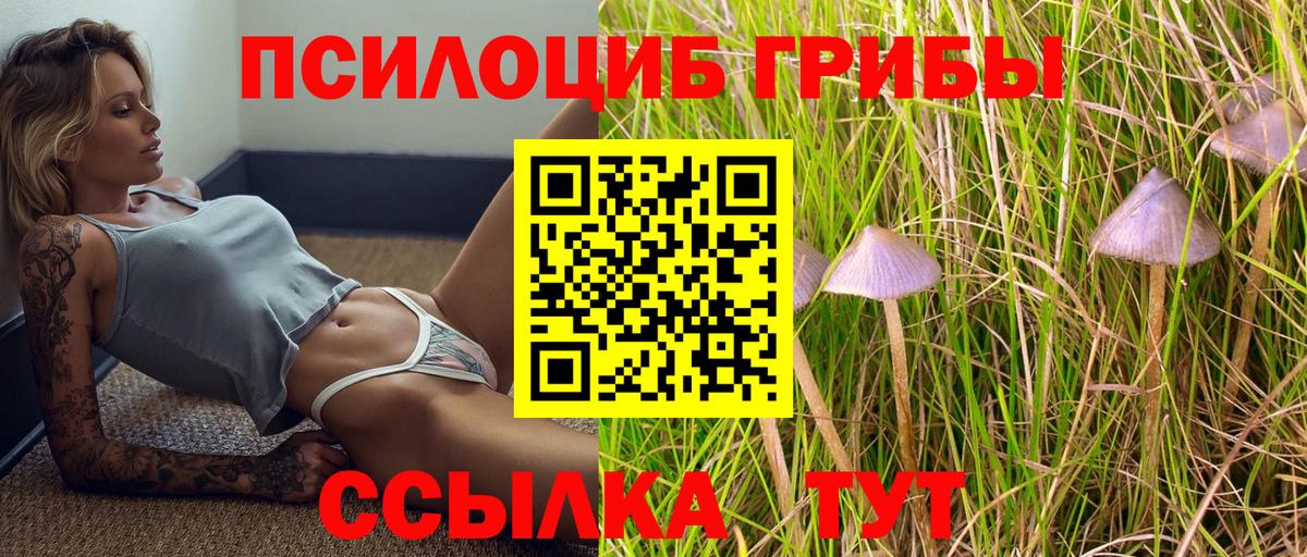 Галлюциногенные грибы мицелий  Псилоцибиновые грибы Psilocybine cubensis  Вход с VPN  Крымск 